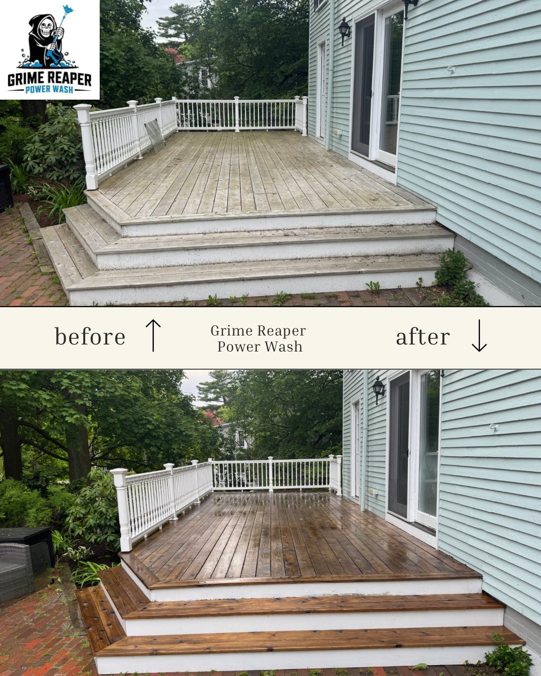 Deck & Fence